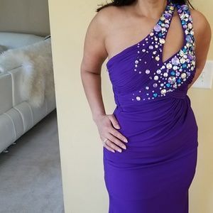 Princess Collection Gown